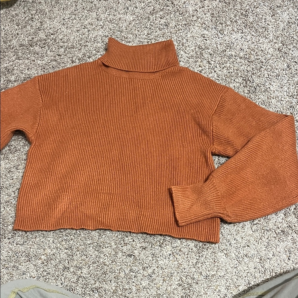 Francesca's Collections Rust Cowl Neck Sweater